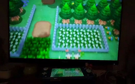 switch lite输出大屏tv模式，全程使用pro手柄【需PJ折腾机】