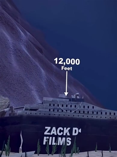 #AmazingFacts #InterestingFacts #DidYouKnow #MindBlowingFacts #FactsDaily