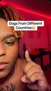 81K views · 4K reactions | Dogs From Different Countries #reels | Damarri Rogers | Facebook