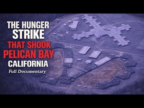 The Hunger Strike That Shook Pelican Bay: 30,000 Inmates Refused To Eat | FULL DOCUMENTARY