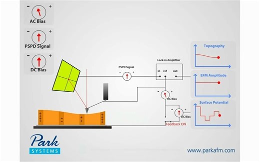 10. 原子力显微镜AFM-扫描开尔文探针显微镜(SKPM)