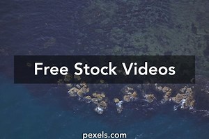 Fightingkids.Net+Videos Videos, Download The BEST Free 4k Stock Video Footage & Fightingkids.Net+Videos HD Video Clips