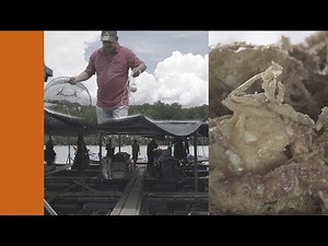 Meratah Ketam Pondan