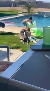 Swimming 🐶😎 | Natural Health