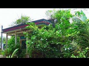 A Vietnamese-American Man Bought A Dilapidated Abandoned House For $10,000 To Renovate In