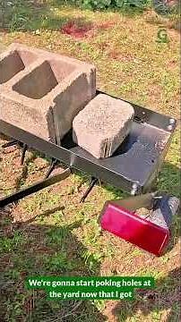 Getting Rid of a Clover Lawn