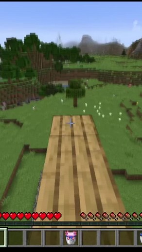 Minecraft Satisfying Moments #minecraft #foryoupage