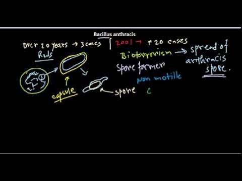 Bacillus anthracis introduction