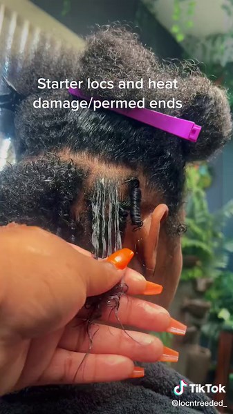 Dealing with Damaged Hair When Getting Starter Locs: Tips and Tricks