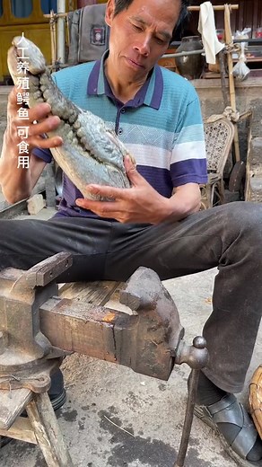 Cooking Spicy Alligator Head: A Rural Delicacy