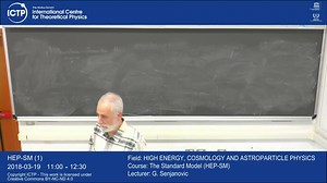 The Standard Model (标准模型/弦理论) ICTP 生肉