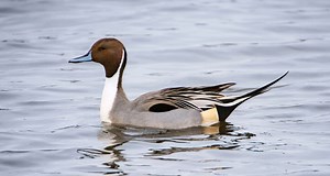 Additional Educational Resources