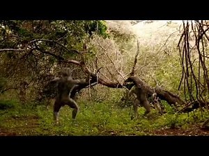 Walking with beasts and Cavemen Only Australopithecus