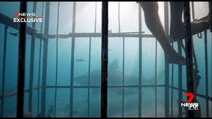 Five years after the infamous moment, Mick Fanning has revealed he still struggles with the memory of that shark attack. Despite suffering flashbacks, the surfing champion wants to see the species better protected. www.7NEWS.com.au #7NEWS | 7NEWS Sydney