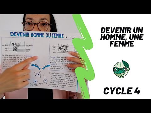 Devenir un homme, une femme - 4ème - Madame SVT