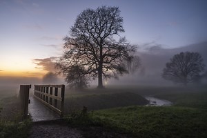 Best cameras for landscape photography in 2026