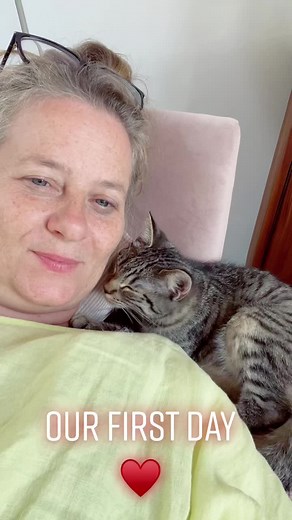 #cat #kitten #kittenlove #catventures