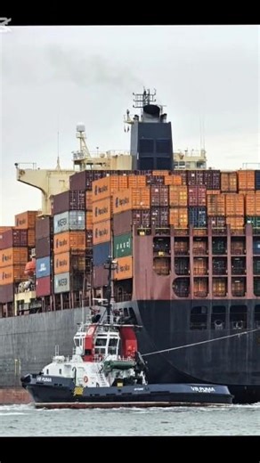 This Cargo Ship Can Carry 24,000 Containers! | MSC IRINA