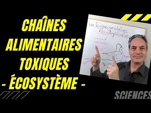 Comment les chaînes alimentaires deviennent-elles toxiques? Bioaccumulation and Bioamplification