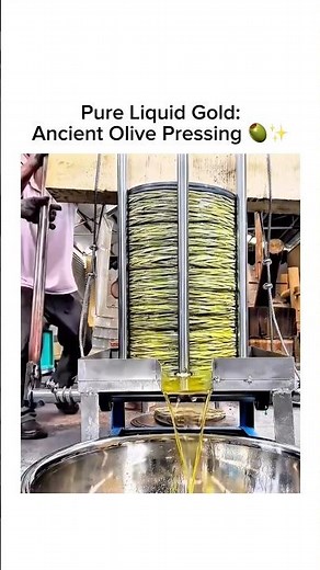 Traditional Cold Press Olive Oil Extraction Process📝