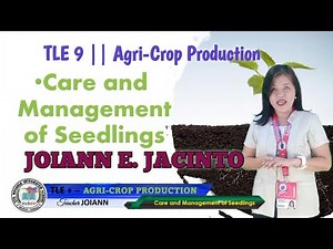 CARE AND MANAGEMENT OF SEEDLINGS