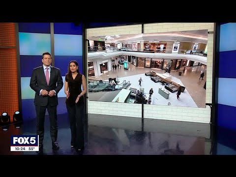 The State of the Mall in 2025