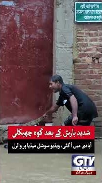 Monitor Lizard Enters Residential Area After Heavy Rains | Shocking Footage Goes Viral | GTV