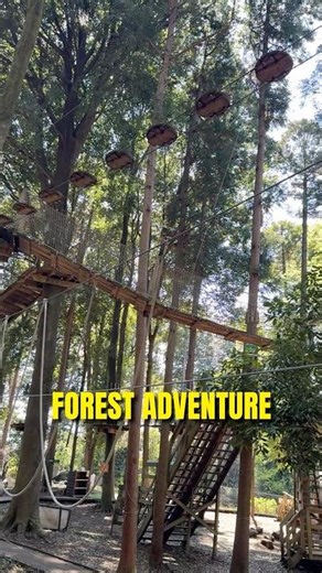 Japan's Most Thrilling Outdoor Adventure🌳 #japantravel #japantrip #visitjapan
