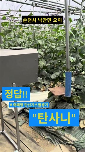 국내최초 촉매형 탄산가스발생기-"탄사니" #탄산시비 #이산화탄소발생기 #탄산가스발생