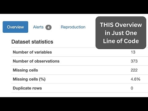 Python: Quick DataFrame Overview with YData Profiling