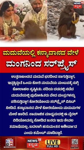 News18 Kannada on Instagram: "Surprise Visit to Wedding Monkey Jumps on Bride | ಮದುವೆಯಲ್ಲಿ ಕನ್ಯಾದಾನದ ವೇಳೆ ಮಂಗನಿಂದ ಮದುಮಗಳಿಗೆ ಸರ್​​ಪ್ರೈಸ್ #WeddingFails #FunnyMonkey #ViralVideo #IndianWedding #MonkeyJump #News18Kannada"