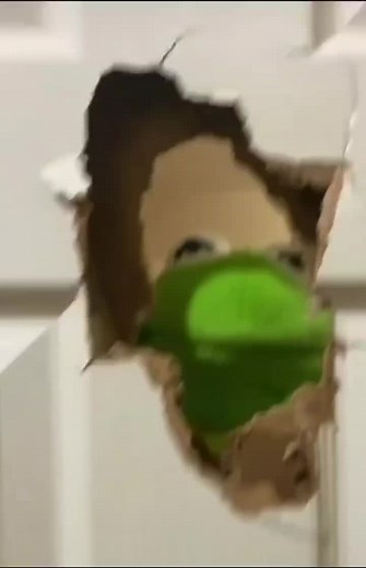 Elmo and Kermit Break Door Comedy Sketch