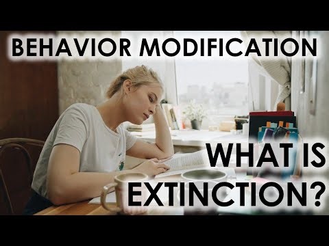 What Is Extinction in Behavior Analysis? (And What It’s Not!)