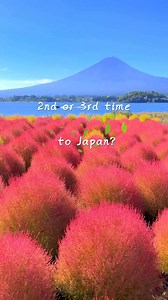 84 reactions | Explore Japan like never before! Get ready for an unforgettable adventure with Diper Tour's classic and in-depth tours. Affordable prices, superior services - what more could you ask for? Book now and experience the real Japan! | Diper Tour | Facebook