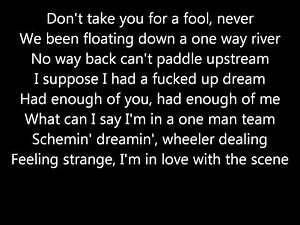 Laiback Luke ft. Example- Natural Disaster [lyrics]