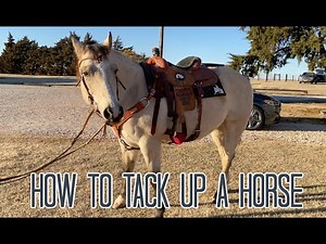 How to Tack up a Horse Western