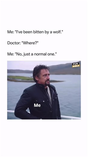 The wholly pun bible 📖 on Instagram: "I taught a wolf to meditate…Now he’s aware wolf"