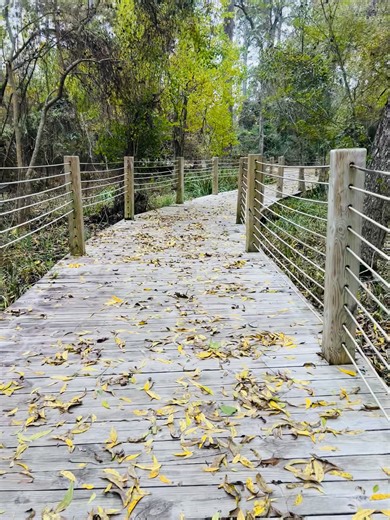 Ruby Miranda (@rubymiranda33)’s videos with sonido original - LLesy..🤟🏻🎸❤️‍🔥🔥