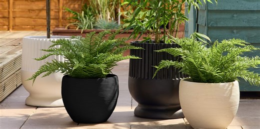 8 great value, plus-size plant pots that will sell out before summer