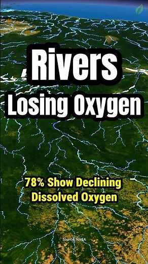 78% of Earth’s Rivers Are Losing Oxygen