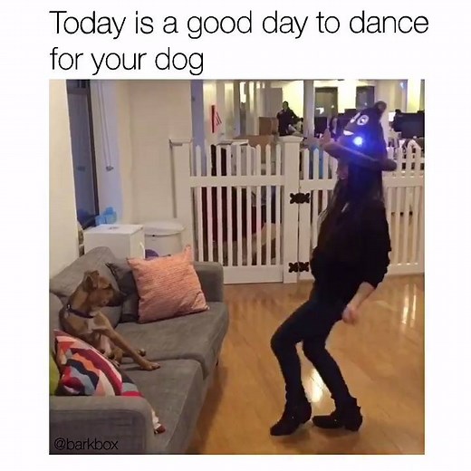 Foster pup Sam is really into it. #DanceForYourDog | BARK