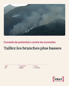 Nous ne voulons pas vous porter ombrage 🌳, mais à quand remonte la dernière fois que vous avez élagué vos arbres? 🤔 Élaguer les branches et les arbres pour laisser une distance d’au moins deux mètres du sol peut aider à protéger votre habitation contre les risques de feu de forêt. 💪 Assurez-vous de bien entretenir votre cour avant et arrière grâce à d’autres bonnes astuces de prévention pour aider à protéger votre habitation contre les feux de forêt sur le site ToujoursIntact.ca. 🔥🛡️🏡 | In