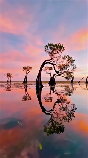 Places On Earth That Don't Feel Real #travel #nature #adventure #explorepage