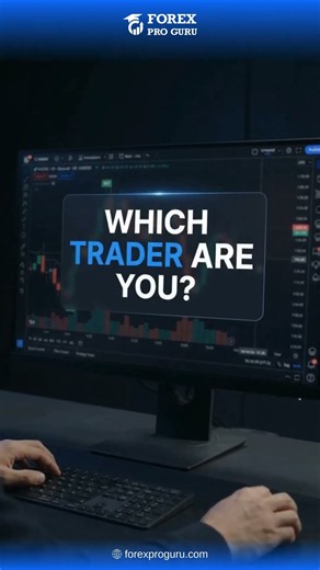 Which Type of Forex Trader Are You? 👀📊