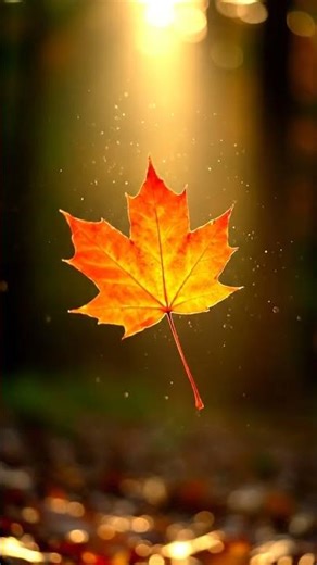 Slow Motion Serenity: A Leaf Falling Into Morning Light