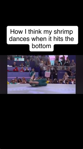 Who else thinks the shrimp is dancing like this when it hits the bottom?? Original video posted by Margie Thissell. https://youtu.be/PrOrQUvGETE?si=jOrFsjt3dbNsFVEs #saltwaterfishing #tampabay #saltwater #tarpon #fishlikeagirl #takeakidfishing #fishing #bait #discover #discover #reels #yamaha #powerpole #florida #ownerhooks #explore #explorepage✨ #colombia #fish #minnkota #boatlife #coastal #tarpon #skyway #stcroixrods #seewhatsoutthere #costasunglasses #floridafishing #fish #fishflorida #tampaf