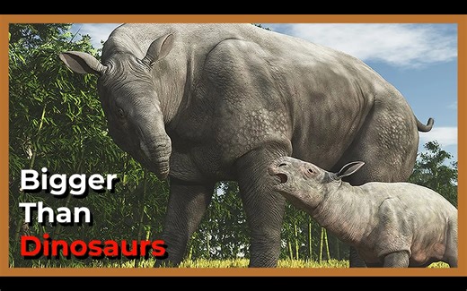 [中配]揭秘巨型犀牛：超越恐龙的Paraceratherium - Animal Origins