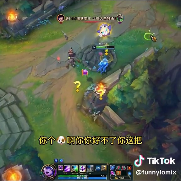 Funny LOL Pit Teammates in League of Legends