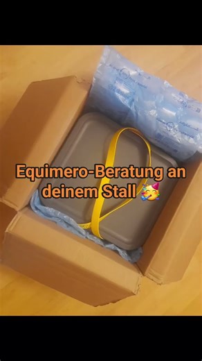 Melde dich für deinen Termin 🐴 #pferdetraining #Pferd #equestrian #Reiter #bodenarbeit #ausrüstung