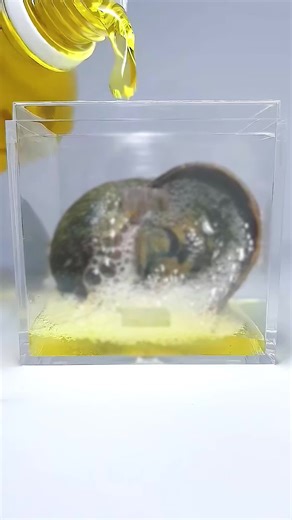 #usa🇺🇸 #fyp #mosquito #bee #leche | bee